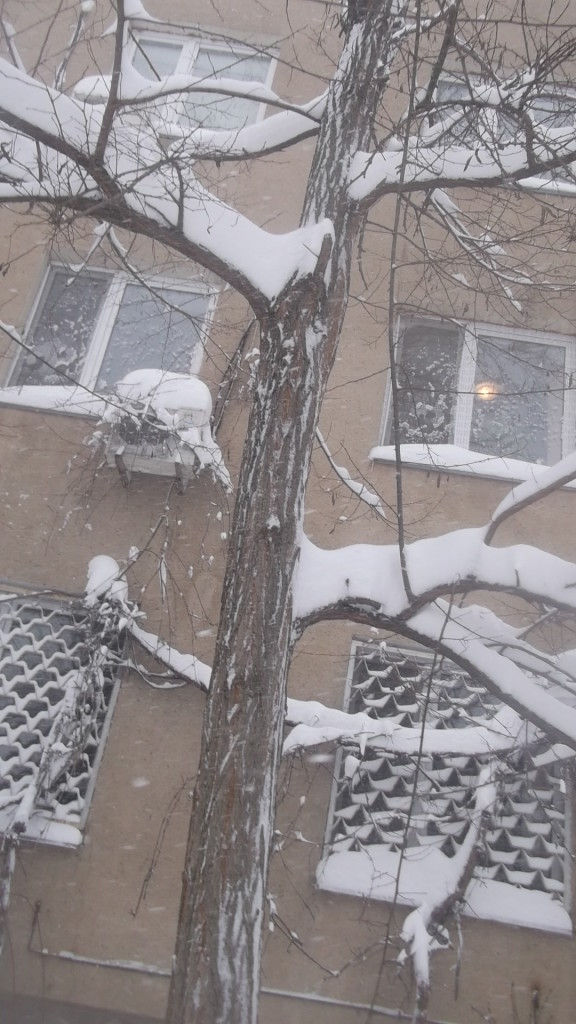 красиво зимой в Одессе