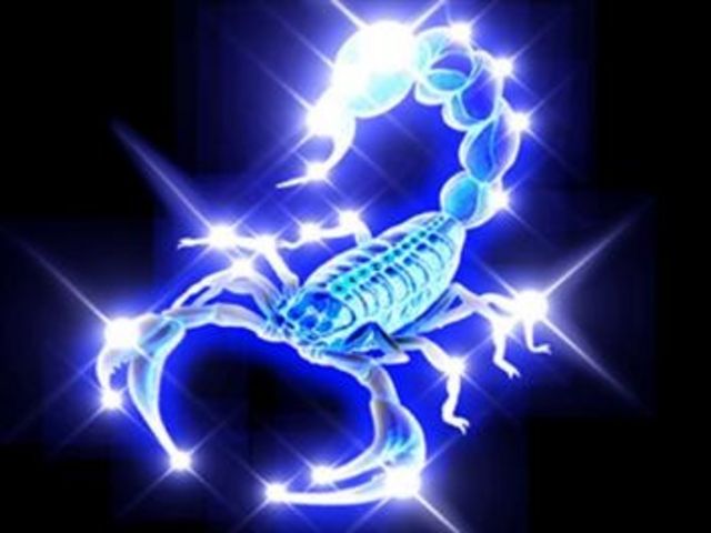 skorpion