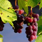 Практики 17 – ых лунных суток