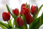 Вчера еще в глаза глядел…