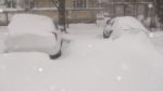 Зима пришла в Одессу. 18 Января 2016 года