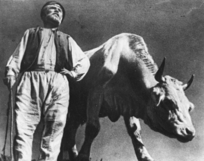 filmy_po_rekomendazii_Andreya-Tarkovskogo_13